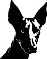 pharaon chien silhouette portrait vecteur