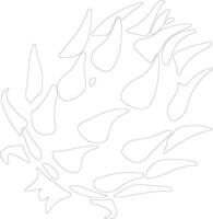 dragon fruit contour silhouette vecteur