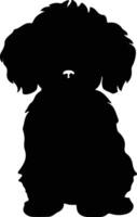 bichon frise noir silhouette vecteur