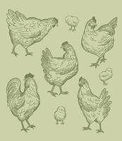 ancien motifs de poulets ligne art vecteur