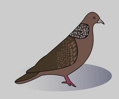 une dessin animé Pigeon avec une marron tête et une blanc corps vecteur
