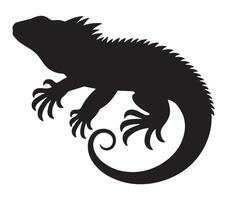 noir et blanc vecteur illustration de agama lézard.