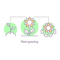 icône de concept de plus en plus de plantes. illustration de fine ligne d'idée d'agriculture. agriculture. la culture du tournesol. dessin de contour isolé de vecteur