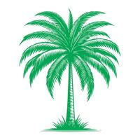 paume ou noix de coco arbre tropical vert feuilles. main dessin griffonnage esquisser style vecteur illustration