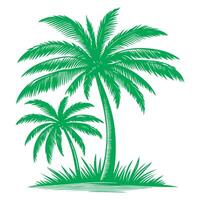 paume ou noix de coco arbre tropical vert feuilles. main dessin griffonnage esquisser style vecteur illustration