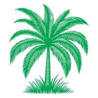 paume ou noix de coco arbre tropical vert feuilles. main dessin griffonnage esquisser style vecteur illustration