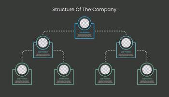 organisationnel structure graphique modèle conception. vecteur