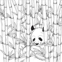 coloration page une souriant rouge Panda dans le bambou forêt vecteur