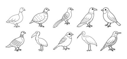 collection de oiseau ligne art éléments vecteur