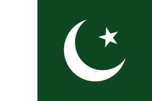 Facile nationale drapeau de Pakistan vecteur