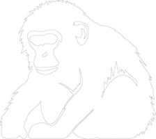 macaque contour silhouette vecteur