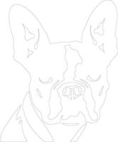 Boston Terrier contour silhouette vecteur