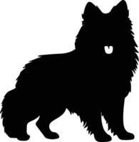 finlandais lapphund noir silhouette vecteur