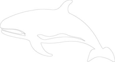 droite baleine contour silhouette vecteur