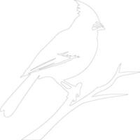 cardinal contour silhouette vecteur