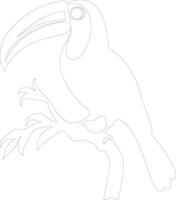 toucan contour silhouette vecteur