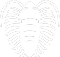 trilobite contour silhouette vecteur