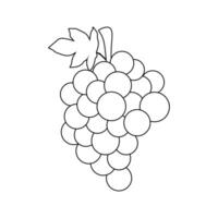 grain de raisin fruit illustration 2d plat graphique décrit vecteur