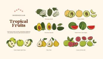 isolé tropical des fruits illustration, indonésien en bonne santé des fruits conception élément vecteur