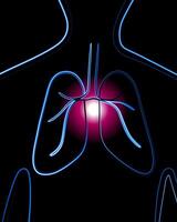 vecteur isolé illustration de Humain poumons. poumon maladies. contour dessin de Humain poumons. tuberculose.