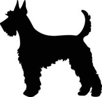 Kerry bleu terrier silhouette portrait vecteur