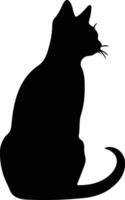 Siamois chat noir silhouette vecteur