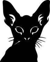 sphynx chat noir silhouette vecteur