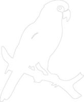 africain gris perroquet contour silhouette vecteur