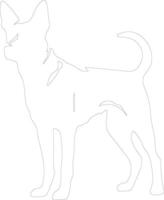 chien de chasse du Cap contour silhouette vecteur