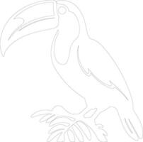 toucan contour silhouette vecteur