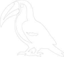 toucan contour silhouette vecteur