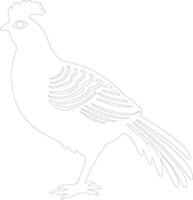 prairie poulet contour silhouette vecteur