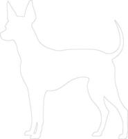 xoloitzcuintli mexicain chauve chien contour silhouette vecteur