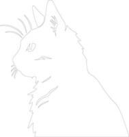 russe blanc noir et tigré chat contour silhouette vecteur