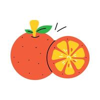 branché Orange fruit vecteur
