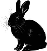 ai généré silhouette lapin ou lapin animal noir Couleur seulement vecteur