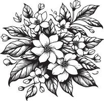 jasmin fleur contour, magnifique botanique floral modèle illustration pour coloration page ou livre, étoile jasmin, fleur esquisser art main tiré monochrome, vecteur art, Zen griffonnage illustration