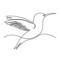 continu Célibataire ligne dessin de sauvage en volant colibri ligne art vecteur illustration conception..