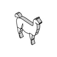 lama sauvage animal isométrique icône vecteur illustration