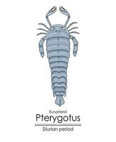 ptérygote, une silurien période mer Scorpion vecteur