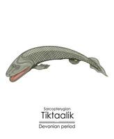 tiktaalik, une lien entre aquatique poisson et tétrapodes. vecteur