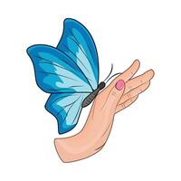 illustration de papillon vecteur