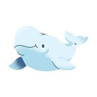béluga baleine dessin animé océan mammifères plat illustration vecteur
