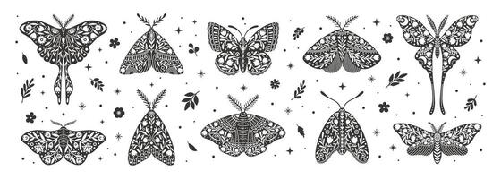 papillon Icônes avec floral ornement. ancien noir et blanc mystique papillons ou papillons de nuit. ensemble de céleste silhouettes de insectes, fleurs, et feuilles, vecteur illustration