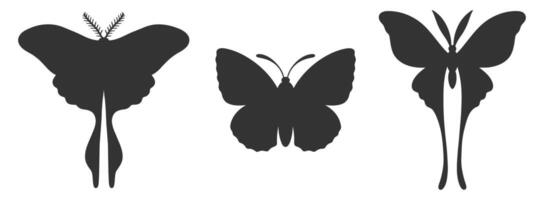 ensemble de Trois papillon silhouettes. insecte Icônes, tatouages. Facile noir formes de papillons et papillons de nuit. vecteur illustration