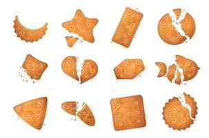 biscuit salé les miettes ensemble. cassé biscuits biscuit biscuit salé casse-croûte nourriture, dessin animé cassé craquelins différent formes et tailles. vecteur isolé collection