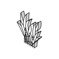 Java fougère isométrique icône vecteur illustration