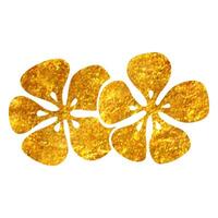 main tiré jasmin fleurs icône dans or déjouer texture vecteur illustration