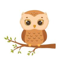 vecteur mignonne bébé hibou sur arbre. main tiré personnage forêt oiseau isolé sur blanc Contexte. des bois illustration pour des gamins