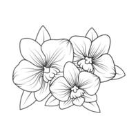 le illustration de orchidée fleur vecteur